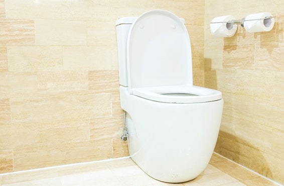 How Your Toilet Actually Works – WordPad 2023-08- How Your Toilet Actually Works